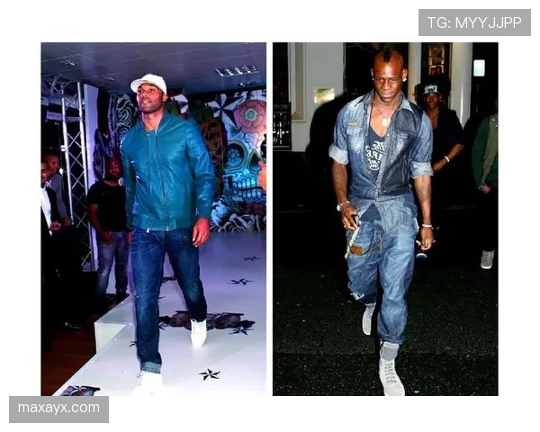 巴洛特利风格分析